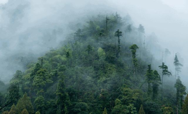 假期游夏令营,夏令营不玩手机