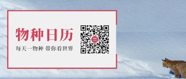 8个优秀公众号,不废话推荐几个优质公众号