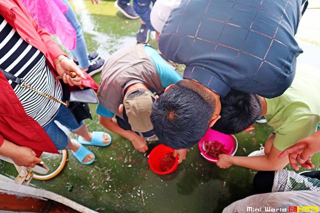 在礐石居然有这么一个世外桃源,日照有哪些海滩可以免费赶海