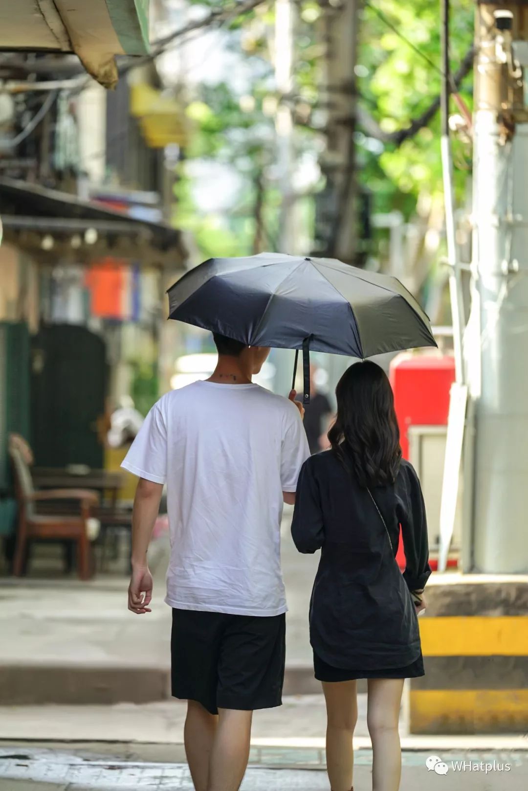 西北湖，韵滴莫抛子？