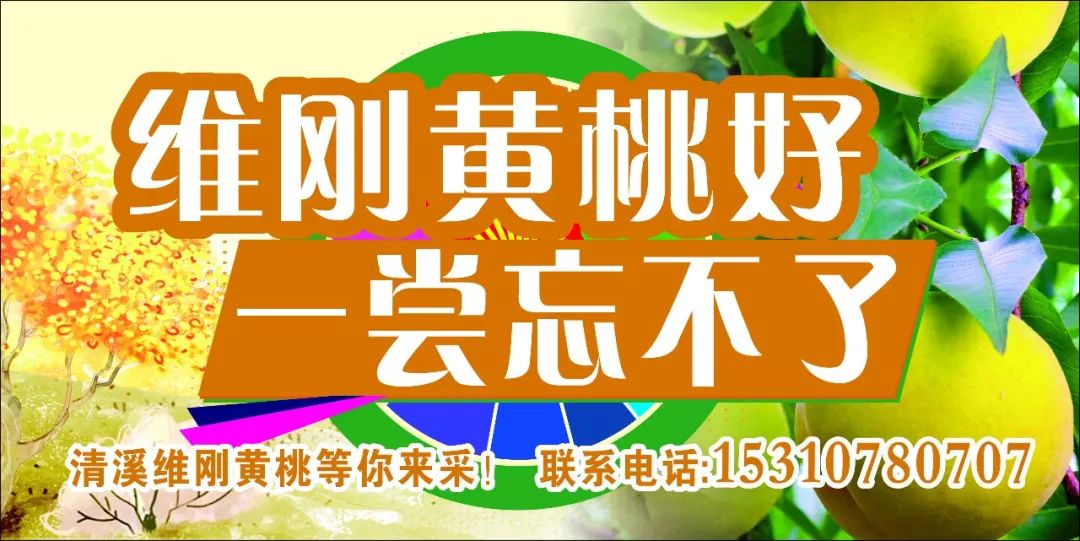 领了就业见习补贴还算应届生吗,个人就业见习岗位申请的补贴政策