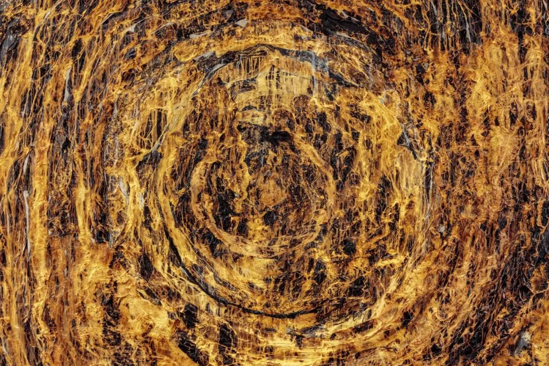 叛逆不羁的夜店咖，如何创造艺术市场奇迹？