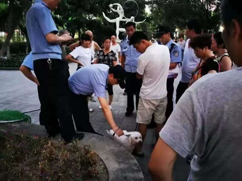 宁波养了个禁养犬要罚多少钱,动真格整治方法