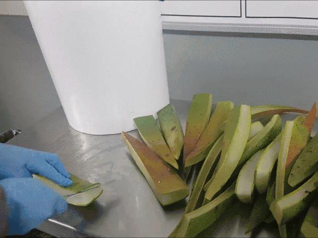 芦荟胶补水保湿提亮肤色晒后修复,祛痘晒后修复保湿补水芦荟胶