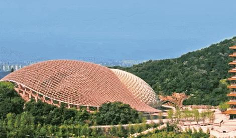 除了鸭血粉丝汤还有啥汤,南京值得去的鸭血粉丝汤