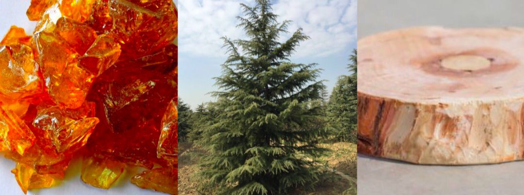 48岁爆瘦30斤秘笈,48岁减肥瘦23斤