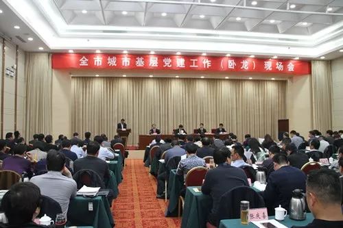 基层党建引领高质量发展亮点,基层党建工作掠影