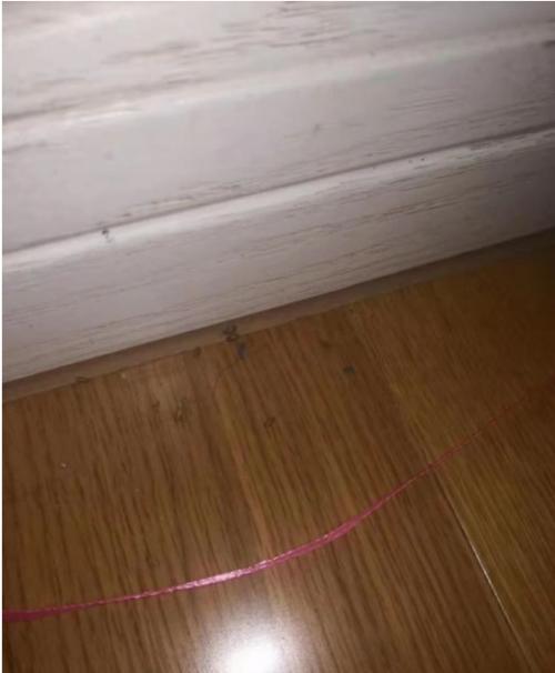 南京金浦紫御东方有多少栋,南京金浦紫御东方小区怎么样