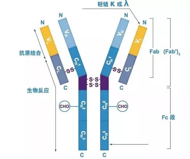 护肤品用了没效果要去哪里告,护肤品买到假货怎么办