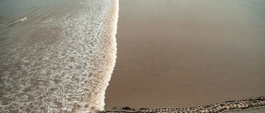 比去年大!八月十八钱塘江大潮来了!这份最全观潮攻略请收好