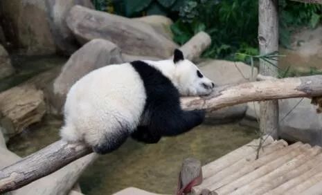 安徽男子用酒瓶砸别人头,一男子喝多拿酒瓶砸人反被打