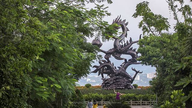 近七天游三亚,海南轻松游