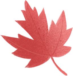 您就是义乌的“代言人”！接到这个电话，千万别挂掉