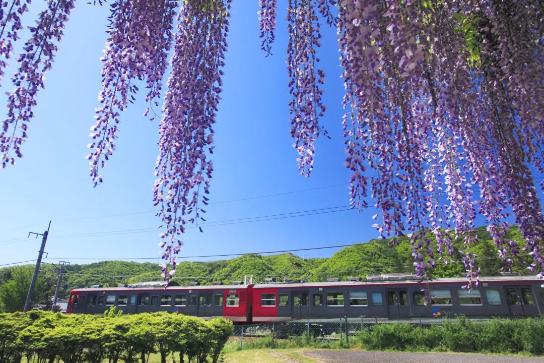 日本自由行特急券和乘车券,日本自由行旅游必备物品清单