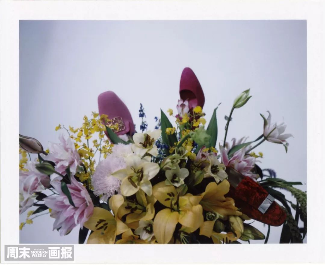 2021所有电视剧的cp,2022年剧集cp排行榜