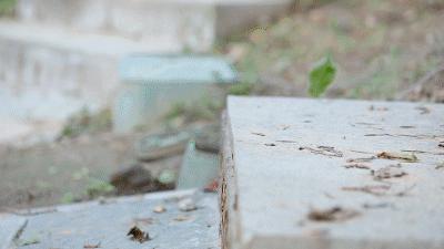 跑鞋鞋底黑科技,鞋底带刀的黑科技鞋