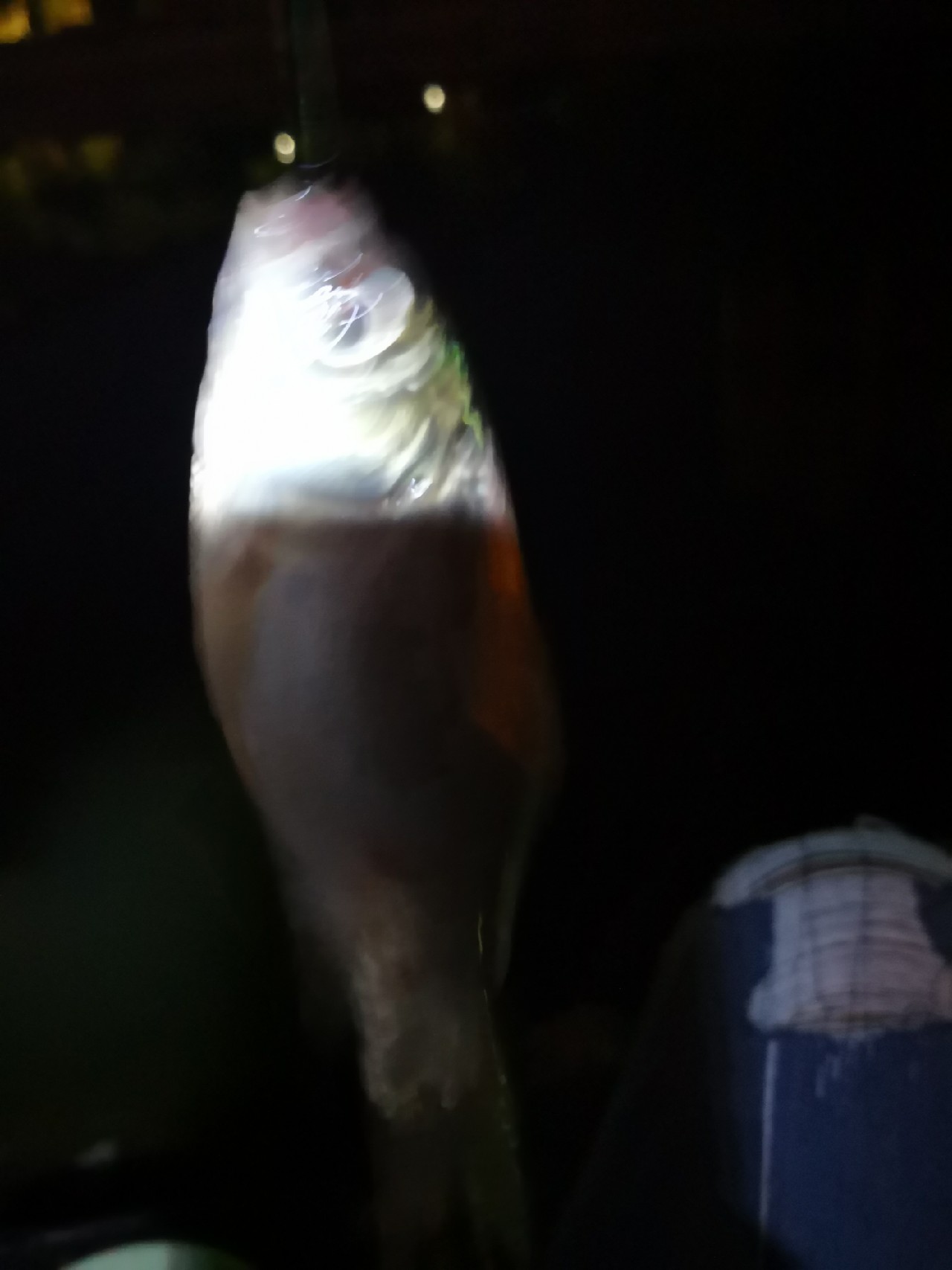 夜钓约会,夜钓男人的浪漫