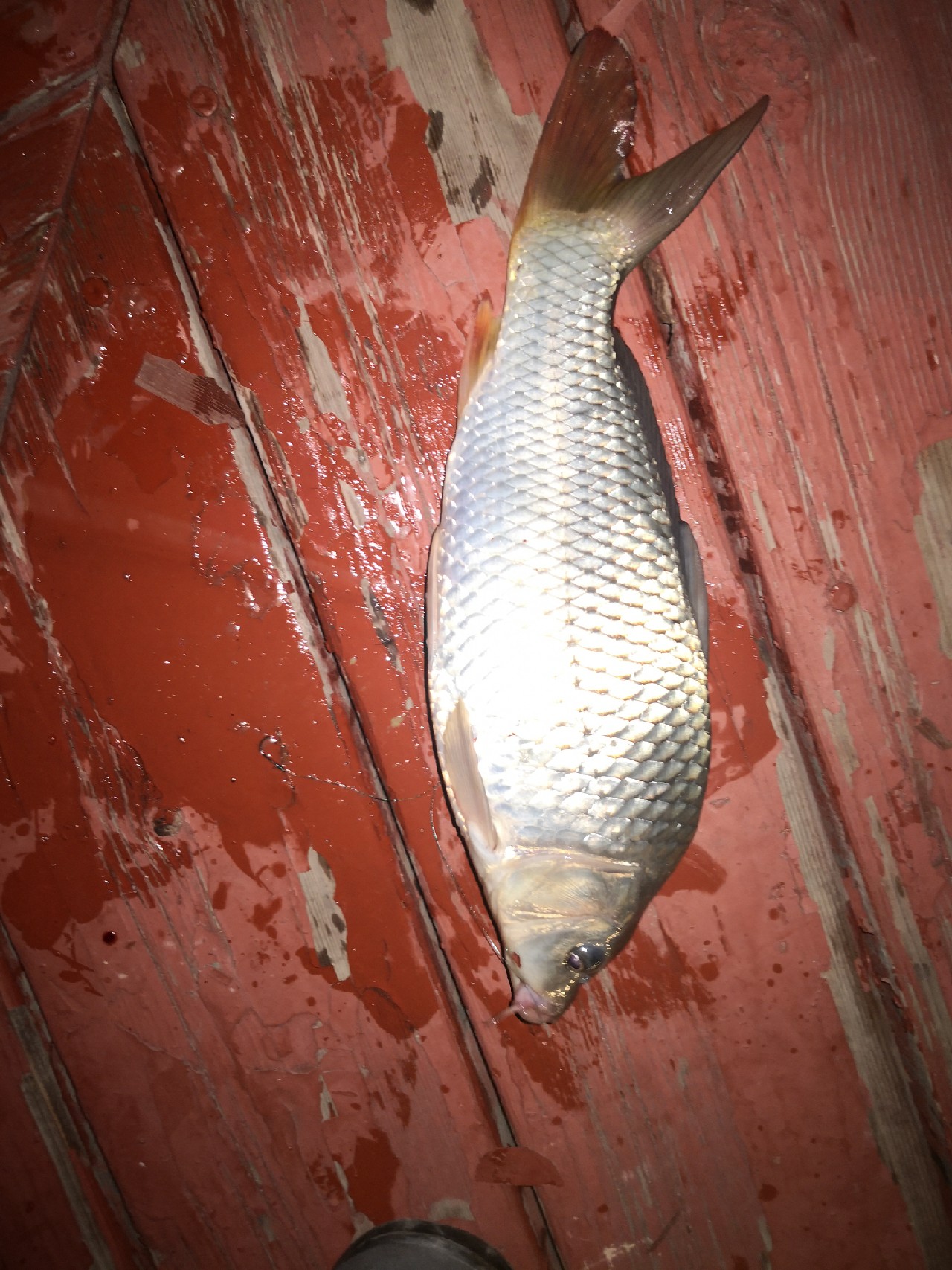 夜钓约会,夜钓男人的浪漫