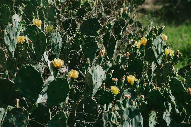 中国大陆最南端湛江旅行攻略,中国大陆最南端湛江景点