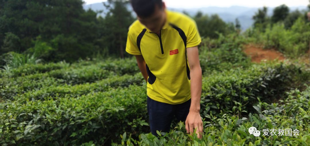 宀╄尪鍒惰尪鏁欏,鍒惰尪宸ヨ壓涓庤尪鏂囧寲