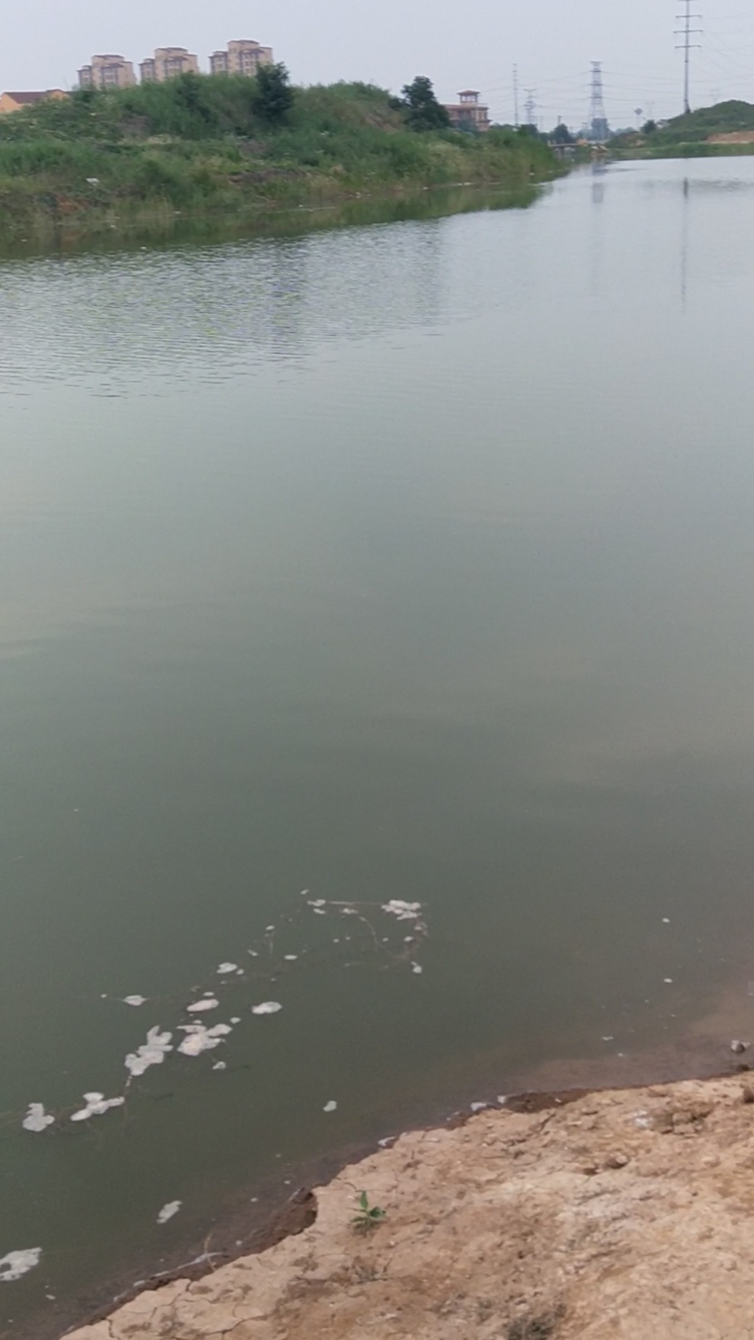 野河夜钓，偶遇大鲤妹子成功帮我解毒