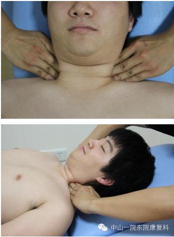 康复治疗技术人体解剖学,12条筋膜链解析及治疗手法