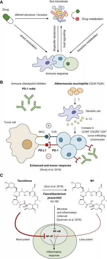 cell子刊biology,cell子刊文章