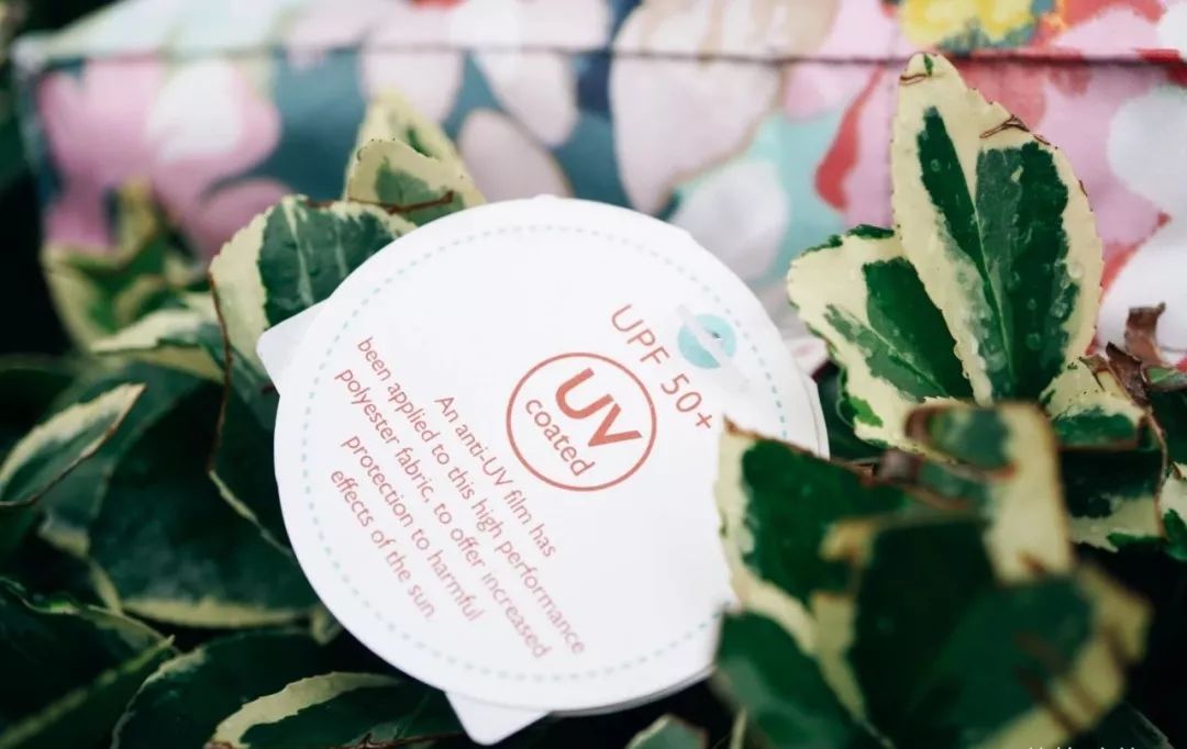 8月份好物,8月好物