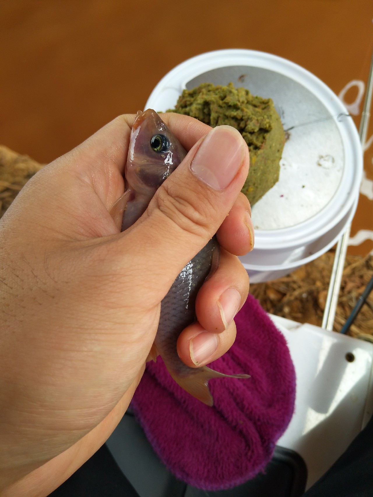 一不小心成坑冠，奈何狂拉还是败给网工...