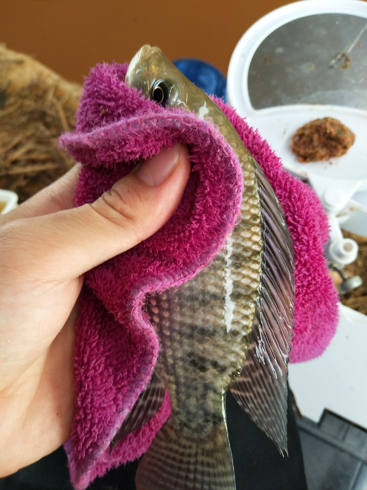 一不小心成坑冠，奈何狂拉还是败给网工...