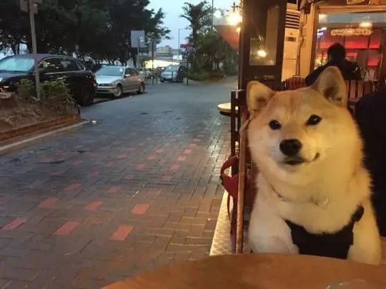 七夕是难过还是得过且过,七夕跟清明节有啥区别