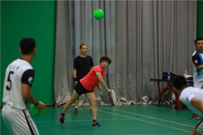 世警会2022,世警会战队