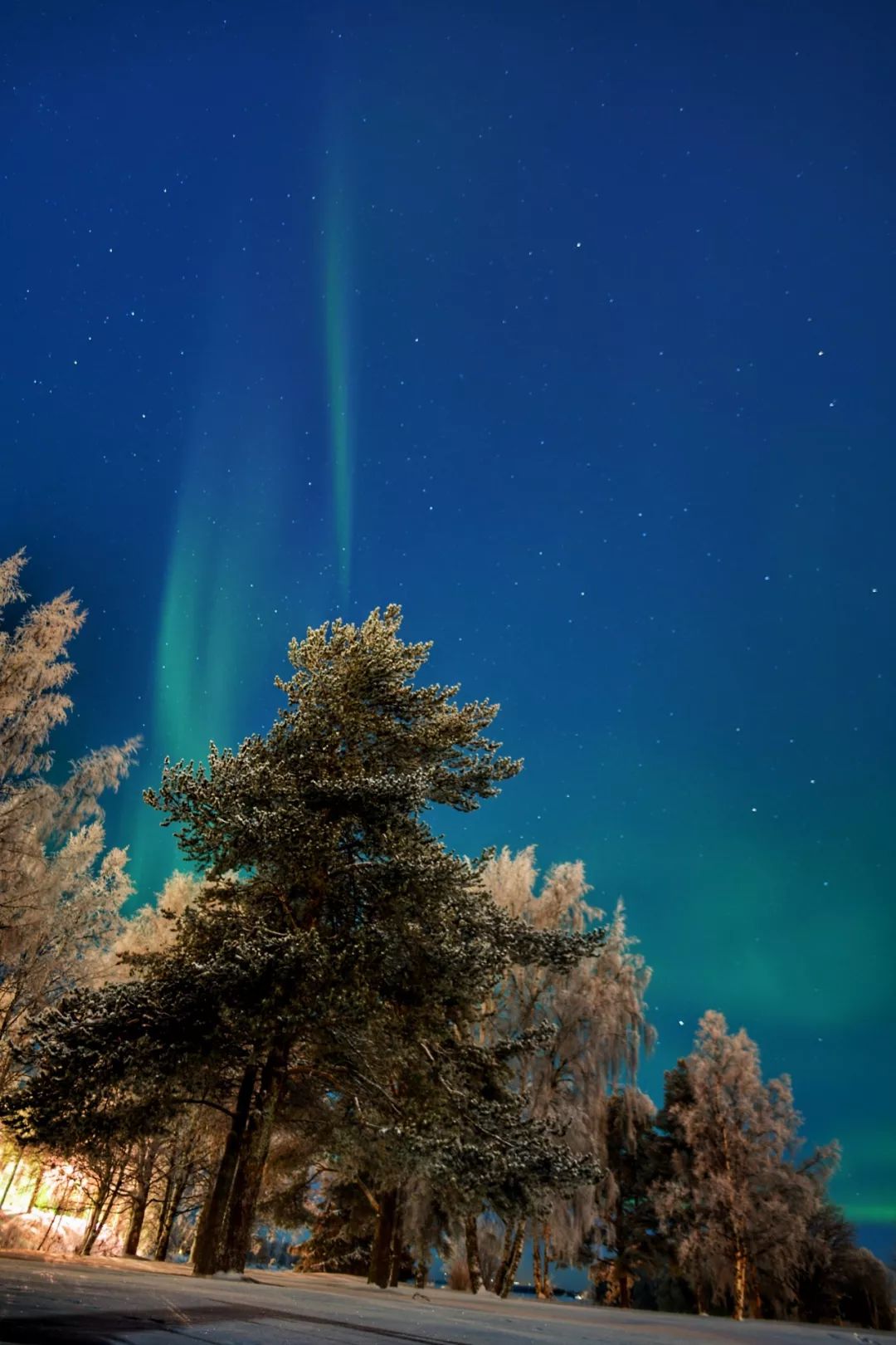 为什么我们迷恋恐龙,为什么我们痴迷篮球