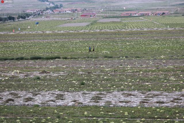 瀹佸瑗跨摐浠婂勾鐘跺喌,鐢樿們瑗跨摐婊為攢鐜扮姸