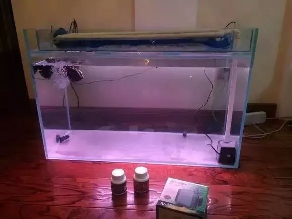 罗汉鱼开缸全过程,罗汉缸需要多少钱