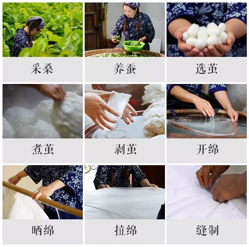 紧急通知蚕丝被,蚕丝被曝光事件