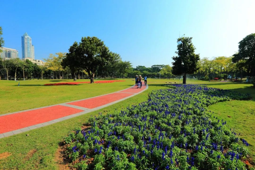 越秀区全民健身中心羽毛球馆,越秀全民健身活动中心免费吗