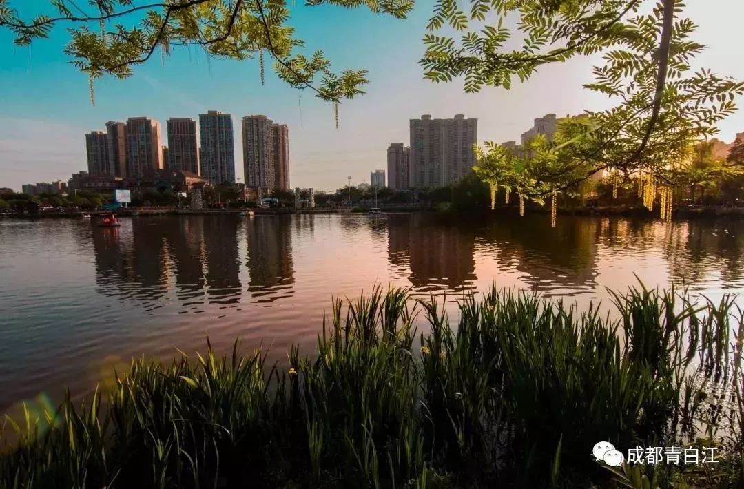 青白江健身训练营,八月健身馆