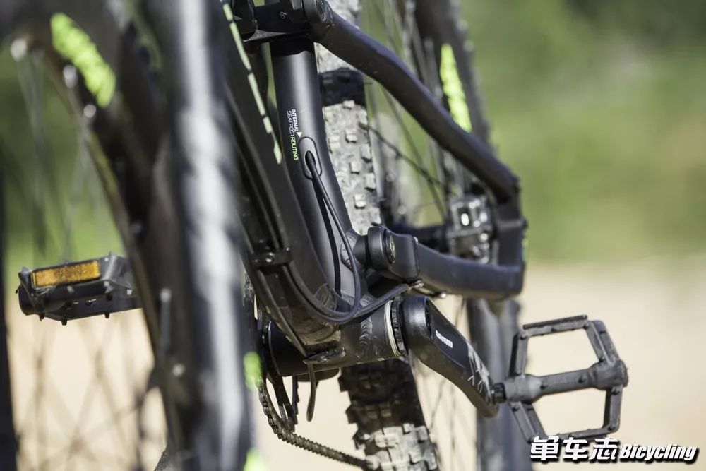 迪卡侬软尾am100s测评,polygond7和迪卡侬am100s