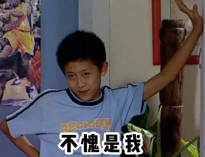 家有儿女长大后回忆,家有儿女经典回忆录