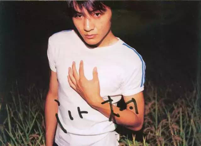 为什么朴树这么火,为什么朴树价格这么高