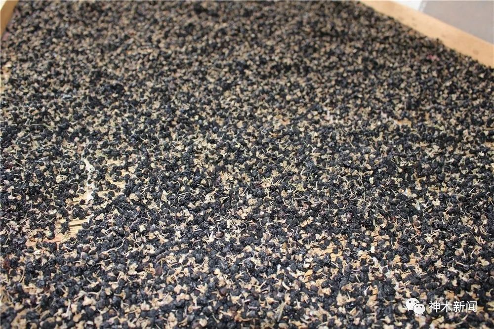 90后小伙子带村民致富,90后小伙带领全村人致富后续