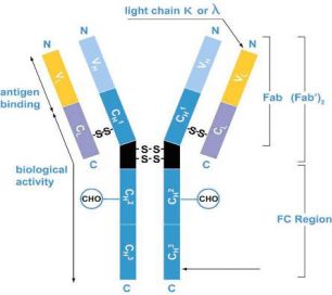 igg4相关性疾病中医辨证论治,igg4相关性眼病最新研究成果