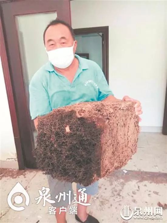 当心有毒虫,夏季当心这6种小虫被咬可能丧命