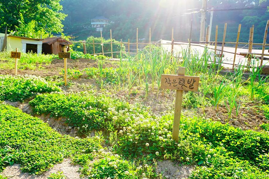 46个人的咖啡馆和2个人的幼儿园