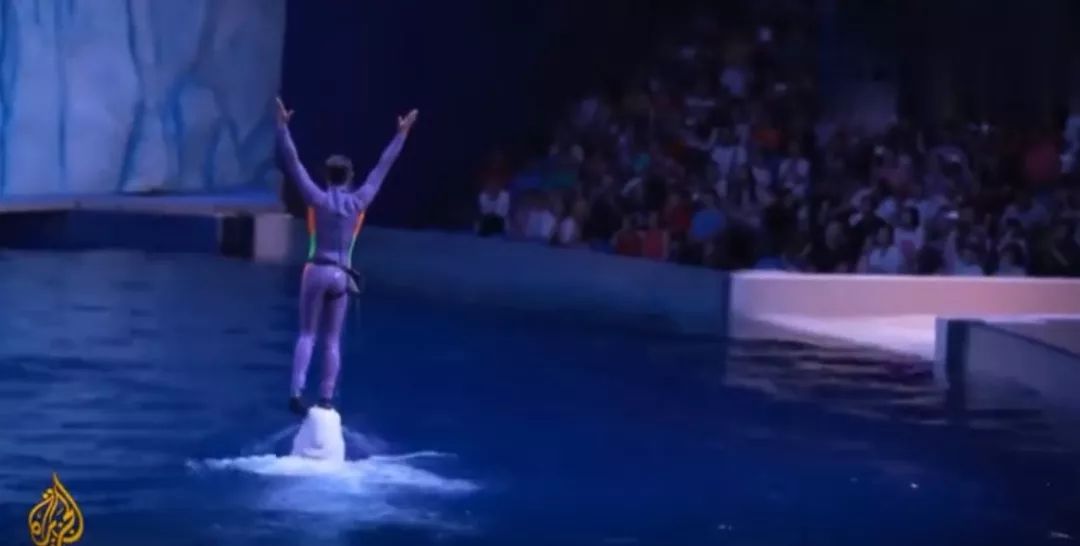 丧心病狂！每帧画面都在捅刀子，多少人忽视了这些人间惨剧…