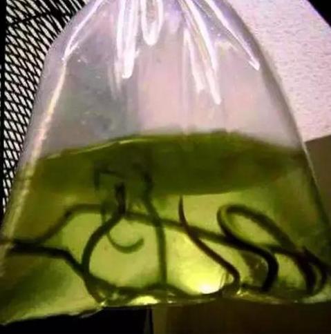 防毒面具危险区,防毒面具防毒气测试