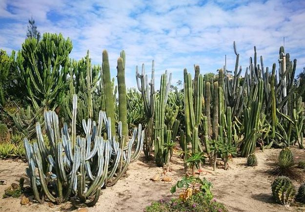 厦门五天四夜游玩攻略,三天三夜游厦门超详细攻略