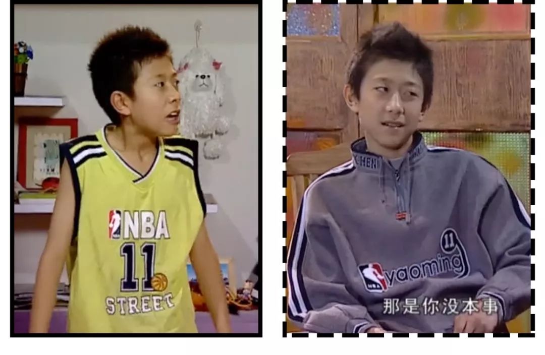 家有儿女长大后回忆,家有儿女经典回忆录