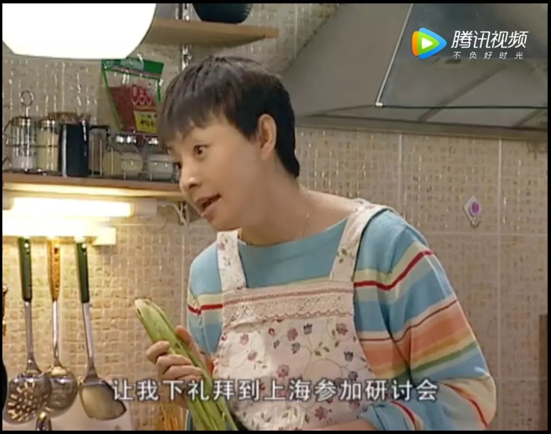 家有儿女长大后回忆,家有儿女经典回忆录